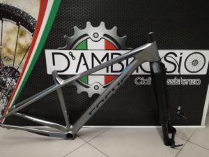 News D'Ambrosio Bike Verniciature Telaio Focus Raven max 00