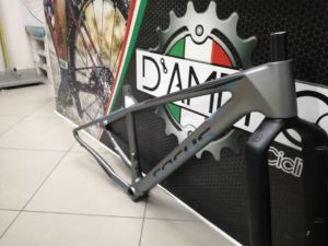 News D'Ambrosio Bike Verniciature Telaio Focus Raven max 04